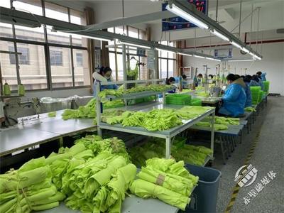 新春新氣象，赤壁服裝企業(yè)設計先行，全力沖刺“開門紅”